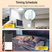 Commutateur intelligent 2 groupes à efficacité énergétique WiFi/RF double contrôle 10A App + accès à distance pour commutateur sans fil Smart Living