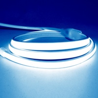 Bande lumineuse LED Epistar COB de haute qualité en gros IP65 pour l'éclairage paysager extérieur Ultra lumineux personnalisable