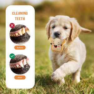 Yumuşak ve sevimli peluş çerez tost isssan gıda ekmek sevimli <span class=keywords><strong>Pet</strong></span> oyuncaklar toptan Squeakers ile tost köpek oyuncak - Product Image 2