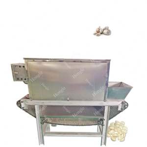 Machine à éplucher et à extraire la peau d'ail électrique automatique à haute efficacité 1000 kg par heure pour le traitement des légumes - Product Image 4