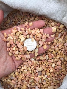 Natural Washed <strong>Pebble</strong> - Product Image 4