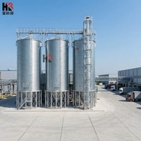 Silo en acier galvanisé pour le stockage du riz avec la technologie de pointe chinoise