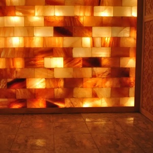 Cristales de sal de baño del Himalaya, técnica tallada de Pakistán, lámparas grandes, animales, losas de pared para lamer, azulejos de sala de Sauna, azulejos de pared de ladrillo - Product Image 4