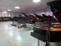 Same Style with Yamaha Grand Grand Piano