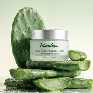 Crème <span class=keywords><strong>Hydratante</strong></span> Végétalienne au Cactus Effet <span class=keywords><strong>Sorbet</strong></span> Marque Blanche – Apaisante, Rafraîchissante et <span class=keywords><strong>Hydratante</strong></span> – Soin Après-Soleil - Product Image 2