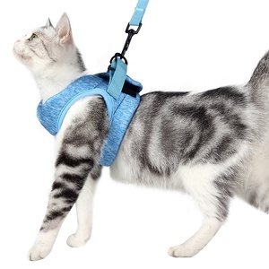 Para <span class=keywords><strong>Amazon</strong></span> Arnés de gato de moda con patrón sólido de tela transpirable y cintas decorativas Correa para mascotas Premium - Product Image 5