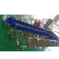 Niveleuse à huîtres industrielle de grande capacité Machine de classement des écrevisses Ananas Herbes vertes Légumes Niveleuse à poisson