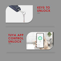 Cerradura de Puerta Inteligente Digital con Huella Dactilar Biométrica Comercial Deve, Electrónica, para Interiores, Central, Negra, Magnética, de Vidrio, Tuya