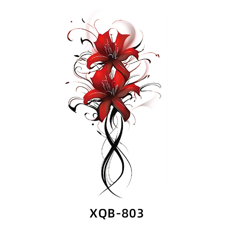 XQ803