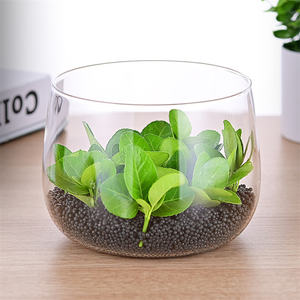 Décor à la maison Aquaponics plante <span class=keywords><strong>Terrarium</strong></span> aquarium clair hydroponique verre fait à la main noël moderne verre Vase fleurs en verre - Product Image 4