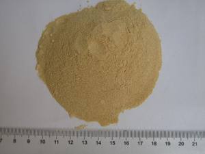 Bubuk kubis putih kering kering panen baru harga murah - Product Image 2