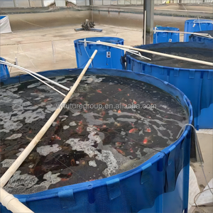 <span class=keywords><strong>Vasca</strong></span> <span class=keywords><strong>per</strong></span> <span class=keywords><strong>Pesci</strong></span> Koi Portatile <span class=keywords><strong>da</strong></span> Esterno, Pieghevole in PVC, <span class=keywords><strong>per</strong></span> <span class=keywords><strong>Giardino</strong></span> o Interno - Product Image 2