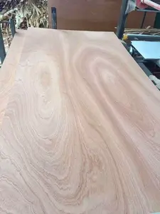 Contreplaqué commercial lisse de placage de <span class=keywords><strong>PQ</strong></span>/Okoume/Bintangor taille 4*8 4*9, épaisseur de 18mm, finition fine pour des projets commerciaux - Product Image 4