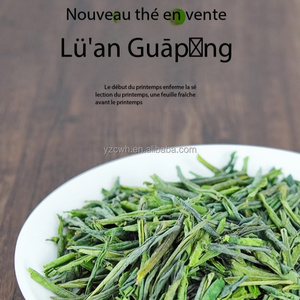 Té Verde Lu'an Gua Pian 2026, Ayuda a la Digestión, Promueve la Pérdida de Grasa y la Antioxidación, Venta al por Mayor de Fábrica con Entrega Exprés - Product Image 5