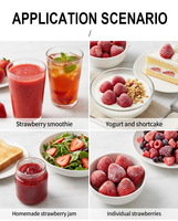 Nouvelle récolte Iqf Fraise Fraise congelée entière Fruits congelés entiers Fraise