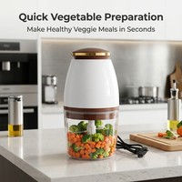 Mini robot culinaire électrique 300W, bol transparent sans BPA de 700 ml, commande à une touche, lame en acier inoxydable, hachoir à viande portable