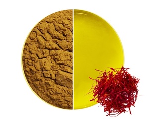 Focusherb สารสกัดจากดอกคำฝอย E60ผงสีเหลือง carthamin - Product Image 1