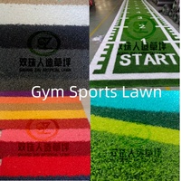 Rouleau de gazon synthétique pour piste de luge de 18 mm, revêtement de sol personnalisé pour salle de sport avec numéros et échelle d'agilité pour l'entraînement de force CrossFit