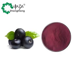 Biologische Gevriesdroogde Acaibes <span class=keywords><strong>Extract</strong></span> Poeder Food Grade Vacuüm Verpakt In Drums - Product Image 1