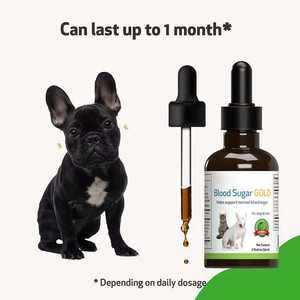 Pet Health Care Supplements Gotas Líquidas De Açúcar No Sangue Ajuda A Manter Níveis Sanguíneos Normais Estáveis Saúde Do Fígado Dos Olhos - Product Image 3