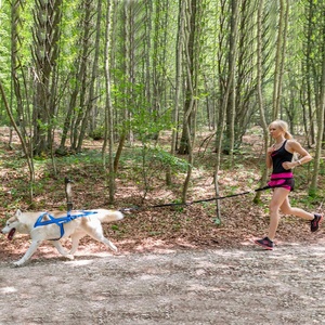 Doble gancho manos libres elástico correr perro plomo <span class=keywords><strong>Husky</strong></span> Mushing ejercicio Bikejoring perro Canicross Skijoring bolsa correr cinturón - Product Image 6