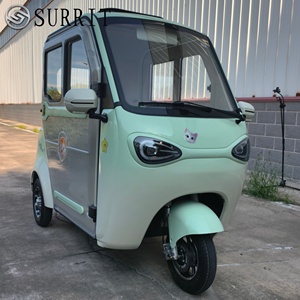 Tricycle électrique SURRIT à cabine fermée, 2 places, 48V 501-800W, trike pour adultes, vert menthe avec décorations de dessins animés - Product Image 5