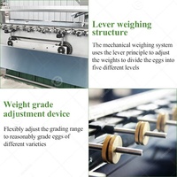 La Chine fabriqué niveleuse caille emballage automatique peser classificateur tri oeuf classement Machine pour à Egge
