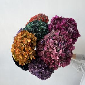 Vraies Branches d'Hortensias Stabilisés Grandes Feuilles 25-30 cm Naturelles Éternelles pour Mariage Saint-Valentin Remise de Diplôme Noël - Product Image 3