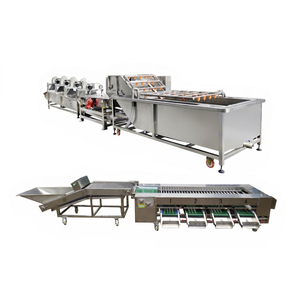 เครื่องคัดแยกและคัดแยกผลไม้เครื่องล้างมะม่วง20000กก. - Product Image 1