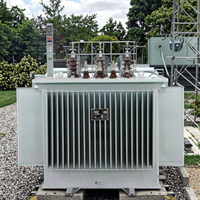 Transformateur de puissance toroïdal immergé dans l'huile, petite capacité, triphasé, S11, 160 kVA, 11 kV, 415 V, abaisseur de tension