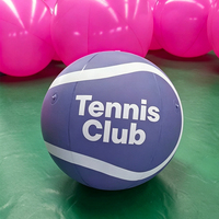 Ballon de football gonflable géant personnalisé avec éclairage LED pour la publicité en plein air et les événements