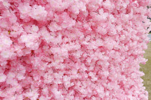 Muro de Flores Artificiales de Seda de Alta Calidad, Rosas 5D/8D, Decoración para Bodas, Eventos, Año Nuevo <span class=keywords><strong>Chino</strong></span>, Fondo para Fiestas en Casa y Escenarios - Product Image 5