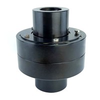 HL (LX) Type 45 #   Boulon de raccordement en acier forgé avec tige en nylon, diamètre de trou 30 mm, structure d'engrenage industrielle, capacité nominale 100 Nm