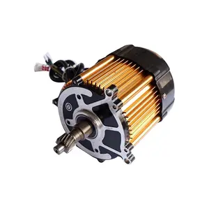 Factory Wholesale 800w 1000w 3 Phase Brushless Dc 72v Electric Rickshaw Kit Motor 3 Wheel Tricycle Cargo Motorcycle Spare Parts