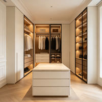 HNSJ Unités de dressing sur mesure modernes, durables et écologiques, avec cadre noir, armoires vitrées et étagères lumineuses à LED pour villa