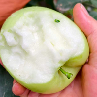 Chinese verse rode Fuji Gala groene gele Huaniu appels, hoge kwaliteit appels groothandel Manzana Pomme Apel Segar Ringo aanbieding