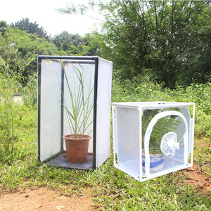 Large Eco-Friendly Outdoor Insect Mesh Cage <strong>Terrarium</strong> Collapsible Caterpillar Habitat Solid Pattern <strong>Plastic</strong> Tray Pallet Zipper - Product Image 5