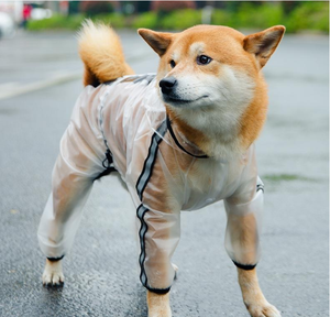 Recién llegado, Material transparente de TPU, capucha grande, protege la cara del perro, Mono para mascotas, <span class=keywords><strong>chubasquero</strong></span> para perros con tiras reflectantes - Product Image 5