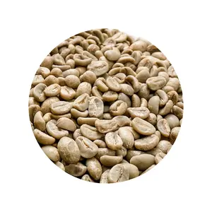 Robusta Green Beans Low Price Coffee Beans Roasted Beans Customized Packaging Jute Bag Vietnam Manufacturer