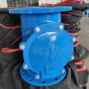 วาล์วตรวจสอบก๊าซดีเซลสำหรับหลุมล่างวาล์วตรวจสอบป๊อปเปตแบบปรับได้ DN50ข้อศอกโอโซน M10 14การตรวจสอบทางเคมี - Product Image 5