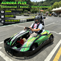 Kart électrique 2026 de nouvelle conception pour adultes et adolescents, vitesse 60 km/h, karting de drift commercial de haute qualité, moteur brushless 64V 2000W