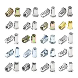 CSK Flat Reduced Head hex Stainless Steel blind Rivet Nuts with Open and Close End