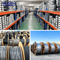 Multi Core TRVV Flexible Drag Chain Cable Insulated Pure Copper Wire for CNC Robot Machine Tool Industrial Automation