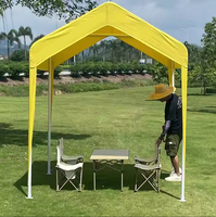 Tenda Intubasi Kustom 10x10 kaki 3x3 meter untuk Acara Dalam/Luar Ruangan, Pameran Dagang, Pernikahan, Kanopi Tahan Lama untuk Acara