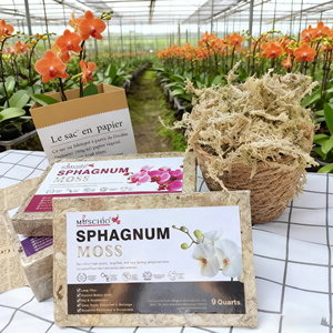 Musgo Sphagnum de baja impureza suministrado por fábrica para plantas carnívoras y mezcla de suelo, maceta colgante y control de humedad - Product Image 1