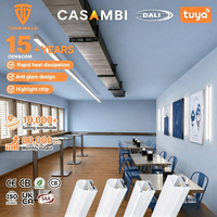 Lampu Gantung Linear LED dengan Diffuser PC, Profil LED 30*60mm, Tabung Pemasangan, Aluminium Anodized untuk Dekorasi