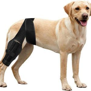 Manga de soporte de rodilla para perro ajustable suave protección transpirable gruesa para recuperación de ACL tamaño <span class=keywords><strong>M</strong></span> almohadillas para articulaciones de piernas envoltura - Product Image 1