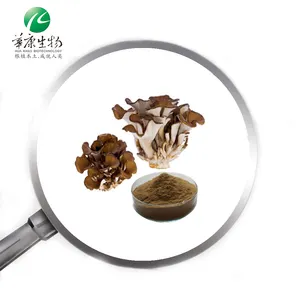 2024 Hot Mushroom Extract Maitake Polysaccharide Grifola Frondosa Powder New Product Launched