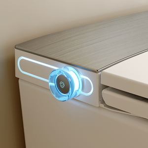 S024 Smart <strong>Toilet</strong> Auto Open/Close Heated Seat Instant Warm Water Dryer Modern Elongated Bidet Intelligent One Piece <strong>Toilet</strong> - Product Image 6