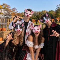 Masque fantaisie en forme de tête de cochon imprimé, demi-masque animal noir et rose, accessoire de costume, accessoire photo pour Halloween, mascarade, fête cosplay